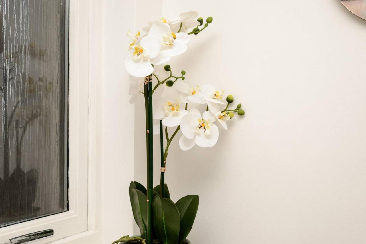 Altido Lovely Apartment For 4 With Free Parking EDI Exterior photo